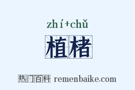 植楮是什么意思的图片